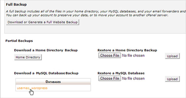 دانلود یک پایگاه داده وردپرس با استفاده از cPanel